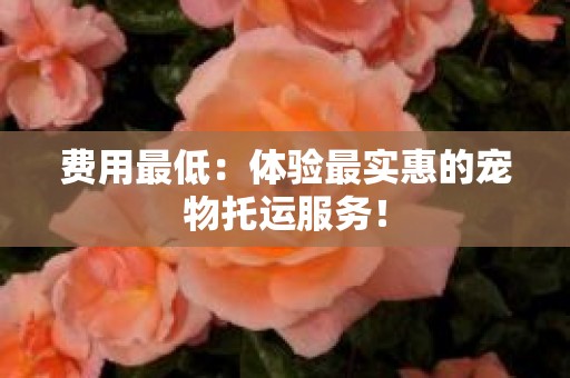 费用最低：体验最实惠的宠物托运服务！