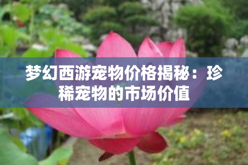梦幻西游宠物价格揭秘：珍稀宠物的市场价值