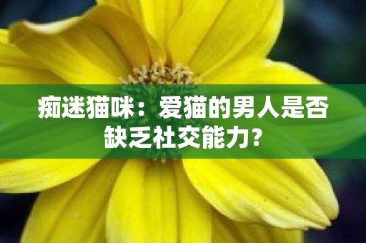 痴迷猫咪：爱猫的男人是否缺乏社交能力？