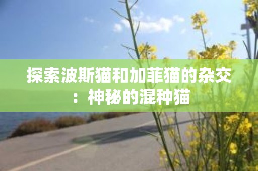 探索波斯猫和加菲猫的杂交：神秘的混种猫