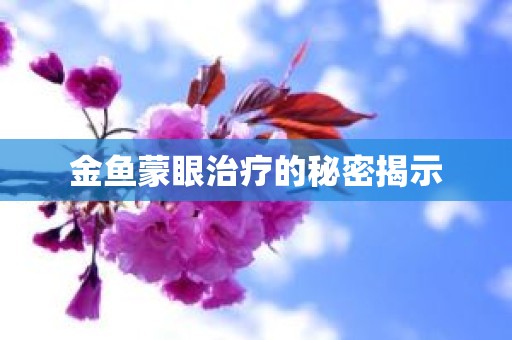 金鱼蒙眼治疗的秘密揭示