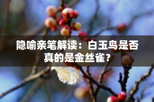 隐喻亲笔解读：白玉鸟是否真的是金丝雀？