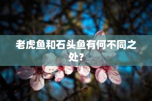 老虎鱼和石头鱼有何不同之处？