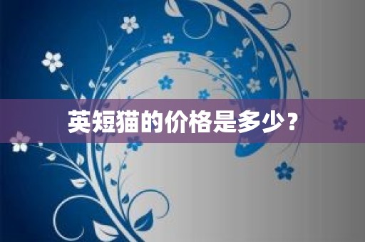 英短猫的价格是多少？