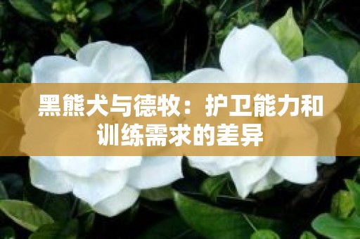 黑熊犬与德牧：护卫能力和训练需求的差异