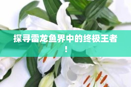 探寻雷龙鱼界中的终极王者!