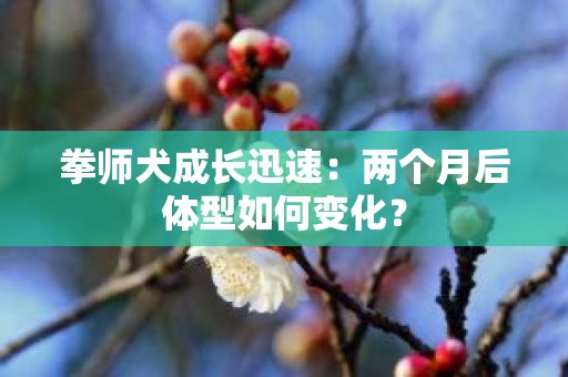 拳师犬成长迅速：两个月后体型如何变化？