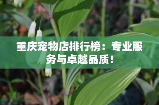 重庆宠物店排行榜：专业服务与卓越品质！