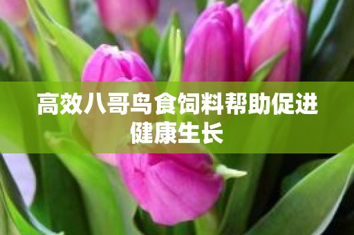 高效八哥鸟食饲料帮助促进健康生长