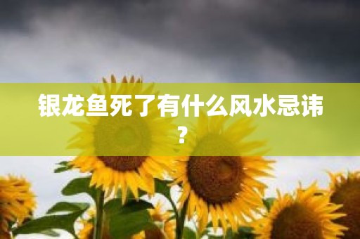 银龙鱼死了有什么风水忌讳？