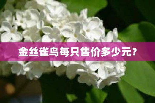 金丝雀鸟每只售价多少元？