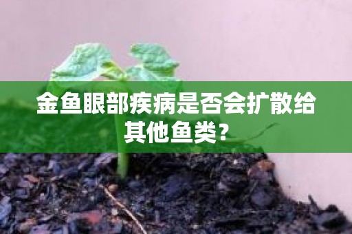 金鱼眼部疾病是否会扩散给其他鱼类？