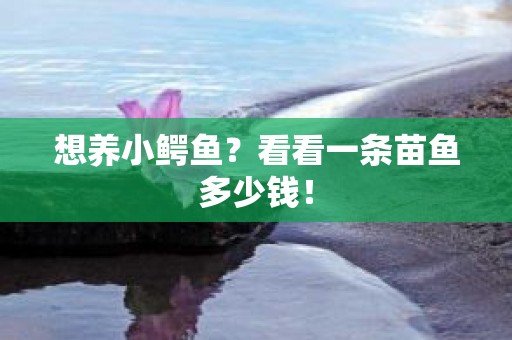 想养小鳄鱼？看看一条苗鱼多少钱！