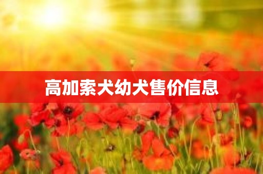 高加索犬幼犬售价信息