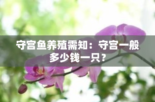 守宫鱼养殖需知：守宫一般多少钱一只？