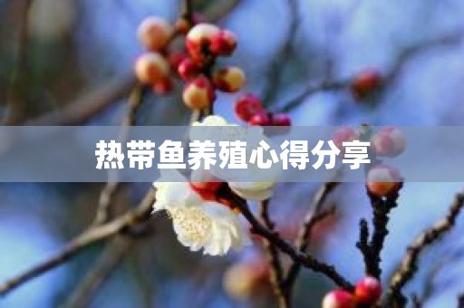 热带鱼养殖心得分享