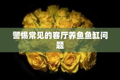 警惕常见的客厅养鱼鱼缸问题