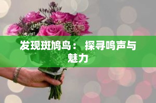 发现斑鸠鸟： 探寻鸣声与魅力