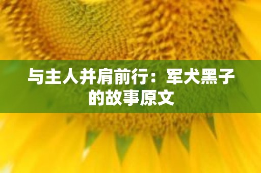 与主人并肩前行：军犬黑子的故事原文