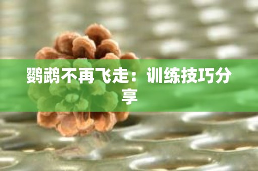 鹦鹉不再飞走：训练技巧分享