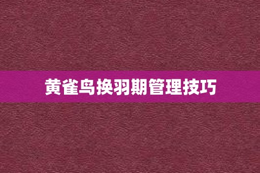 黄雀鸟换羽期管理技巧
