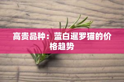 高贵品种：蓝白暹罗猫的价格趋势