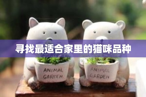 寻找最适合家里的猫咪品种