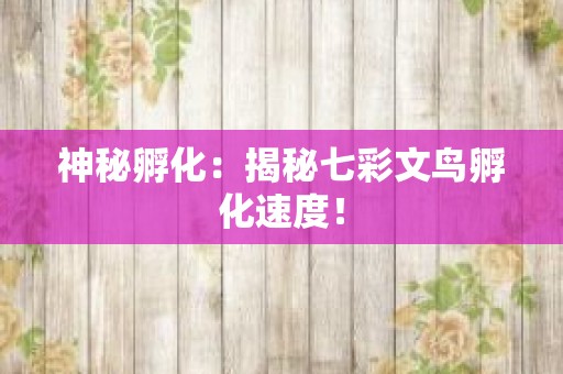 神秘孵化：揭秘七彩文鸟孵化速度！