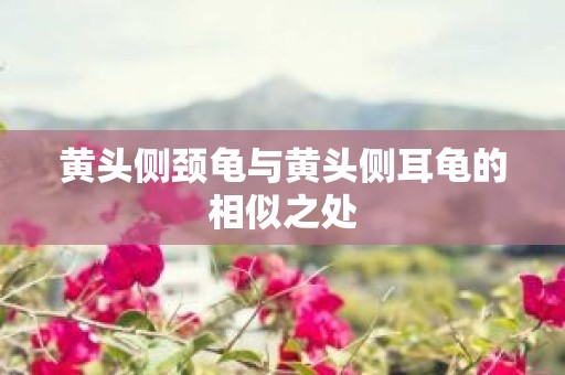 黄头侧颈龟与黄头侧耳龟的相似之处