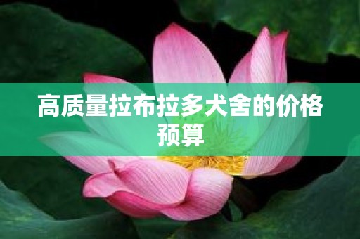 高质量拉布拉多犬舍的价格预算