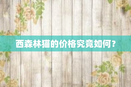 西森林猫的价格究竟如何？