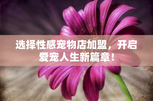 选择性感宠物店加盟，开启爱宠人生新篇章！