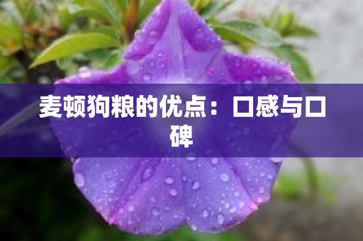 麦顿狗粮的优点：口感与口碑