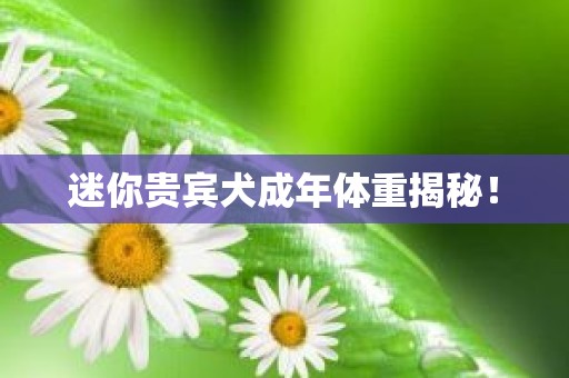 迷你贵宾犬成年体重揭秘！