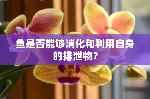 鱼是否能够消化和利用自身的排泄物？