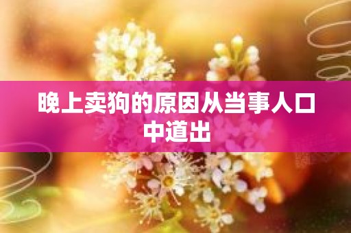晚上卖狗的原因从当事人口中道出