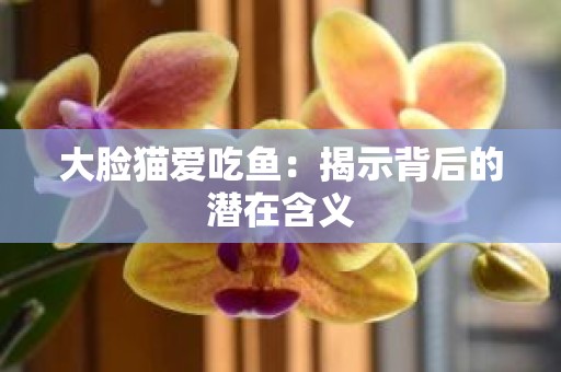 大脸猫爱吃鱼：揭示背后的潜在含义