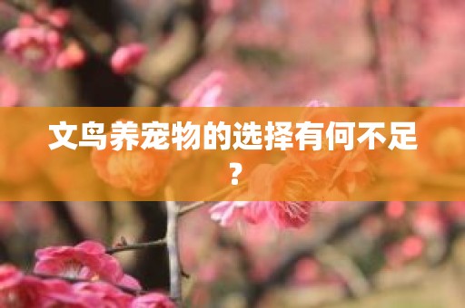 文鸟养宠物的选择有何不足？