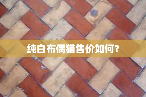纯白布偶猫售价如何？