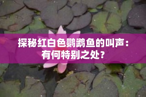 探秘红白色鹦鹉鱼的叫声：有何特别之处？