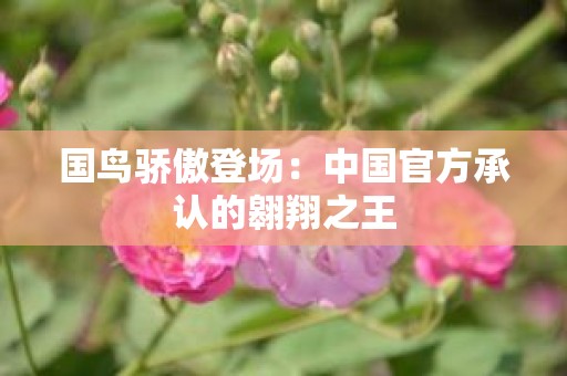 国鸟骄傲登场：中国官方承认的翱翔之王