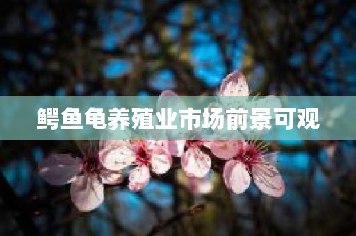 鳄鱼龟养殖业市场前景可观