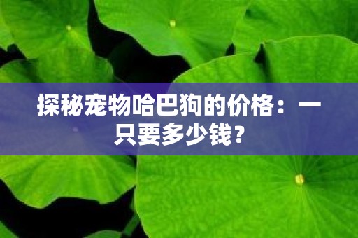 探秘宠物哈巴狗的价格：一只要多少钱？