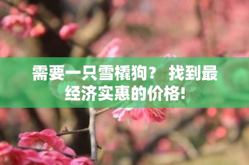 需要一只雪橇狗？ 找到最经济实惠的价格!
