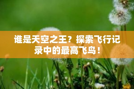 谁是天空之王？探索飞行记录中的最高飞鸟！