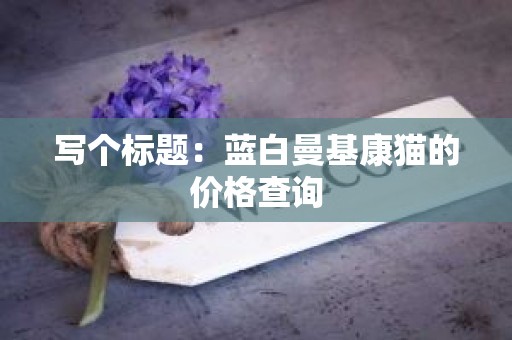 写个标题：蓝白曼基康猫的价格查询