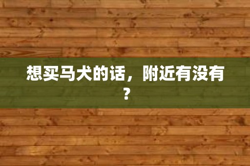 想买马犬的话，附近有没有？