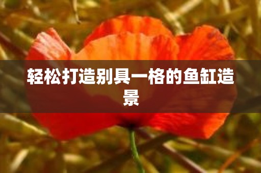 轻松打造别具一格的鱼缸造景