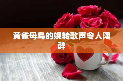 黄雀母鸟的婉转歌声令人陶醉