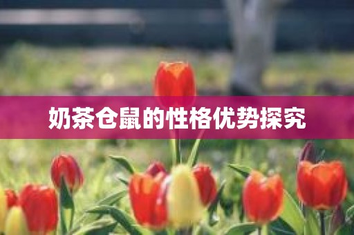 奶茶仓鼠的性格优势探究